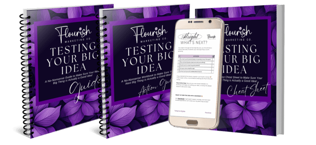 Test Your Big Idea Bundle